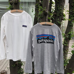 photolog_image