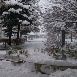 photolog_image