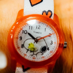Beams Boy ビームス ボーイ Timex Peanuts Snoopy Watch 時計 腕時計 通販 Beams
