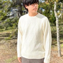 photolog_image