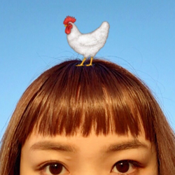 photolog_image