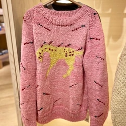 photolog_image