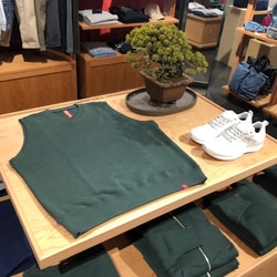 photolog_image