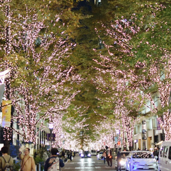 photolog_image