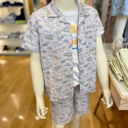photolog_image