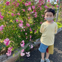 photolog_image