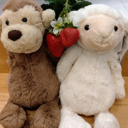 photolog_image