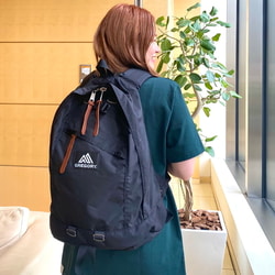 BEAMS(ビームス)GREGORY / DAY PACK(バッグ リュック・バックパック ...