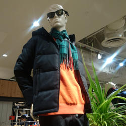 photolog_image