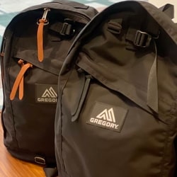 BEAMS(ビームス)GREGORY / DAY PACK(バッグ リュック・バックパック ...