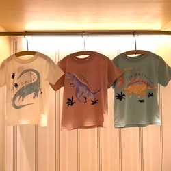 photolog_image