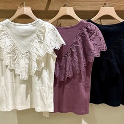 photolog_image