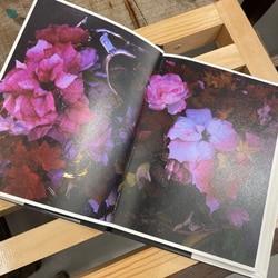 photolog_image