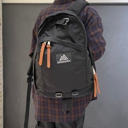 BEAMS(ビームス)GREGORY / DAY PACK(バッグ リュック・バックパック ...