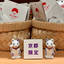 photolog_image