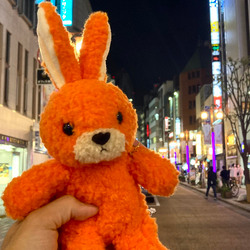 photolog_image