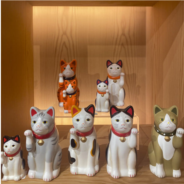 ビームス ジャパン 渋谷（577936） フォトログ｜BEAMS