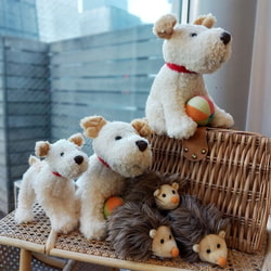 photolog_image