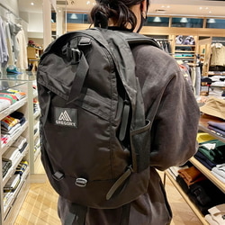 BEAMS（ビームス）GREGORY × BEAMS / 別注 Mighty Day Lite 30L 