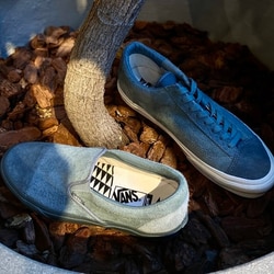 Pilgrim Surf+Supply（ピルグリム サーフ+サプライ）〈WOMEN〉VANS