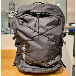 BEAMS patagonia / Refugio Daypack 30L (bag BEAMS /backpack) mail 