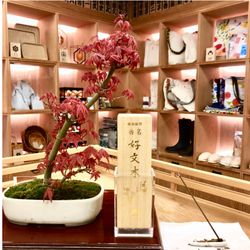 photolog_image