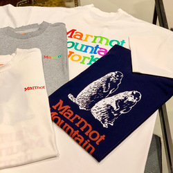 BEAMS（ビームス）Marmot × BEAMS / 別注 Rainbow T-shirt（Tシャツ