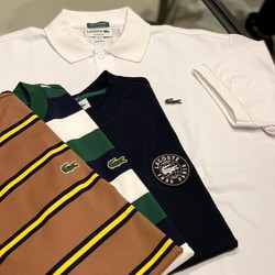 BEAMS（ビームス）LACOSTE for BEAMS / 別注 ボーダー ロングスリーブ