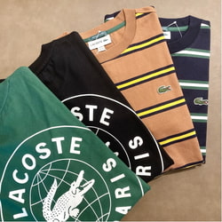 BEAMS（ビームス）【アウトレット】LACOSTE for BEAMS / 別注 ボーダー