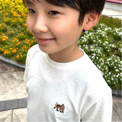 photolog_image