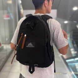 BEAMS（ビームス）GREGORY / DAY PACK（バッグ リュック・バックパック