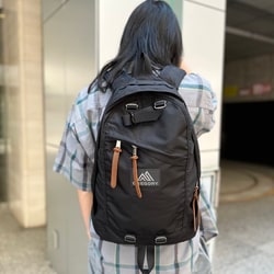 BEAMS（ビームス）GREGORY / DAY PACK（バッグ リュック・バックパック