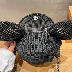 BEAMS BOY（ビームス ボーイ）【別注】25th/ Disney Rattan Bascket（バッグ カゴバッグ）通販｜BEAMS