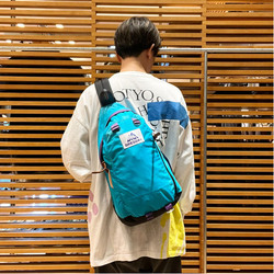 BEAMS（ビームス）GREGORY × BEAMS / 別注 SPIN SLING V2（バッグ