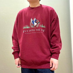 photolog_image