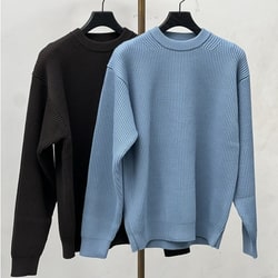 BEAMS（ビームス）AURALEE / French Merino Rib Knit P/O（トップス