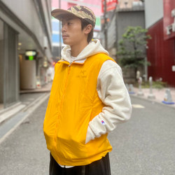 BEAMS（ビームス）ARC'TERYX / Atom Vest（トップス ベスト