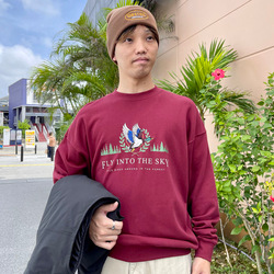 photolog_image