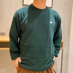 BEAMS（ビームス）DANTON / Lambswool Crew Neck Knit（トップス