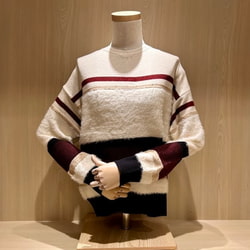 photolog_image