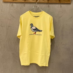 photolog_image