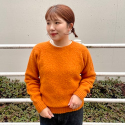BEAMS PLUS（ビームスプラス）の「BEAMS PLUS / シェットランド