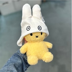 photolog_image
