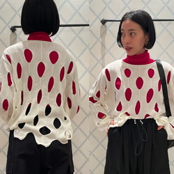 photolog_image