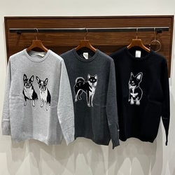 BEAMS（ビームス）fLAnsisCA / Jacquard Knit 23AW（トップス