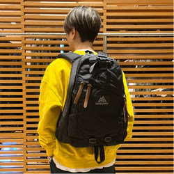 BEAMS（ビームス）GREGORY / DAY PACK（バッグ リュック・バックパック 