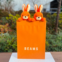 BEAMS JAPAN（ビームス ジャパン）童心 × BEAMS JAPAN / 別注 フカフカ