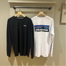 BEAMS patagonia / P-6 Logo Long T-shirt (T-shirts, cut and