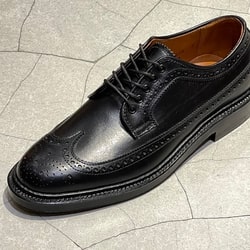 BEAMS PLUS（ビームス プラス）【別注】ALDEN / Long Wing Tip Calf（シューズ レザーシューズ）通販｜BEAMS