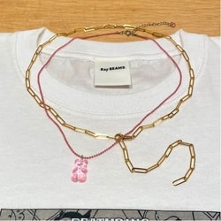 photolog_image